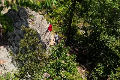 Lower Dogwood Trail
