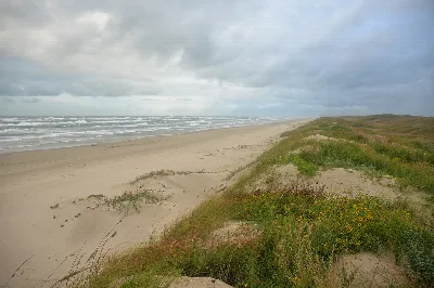Padre Island National Seashore