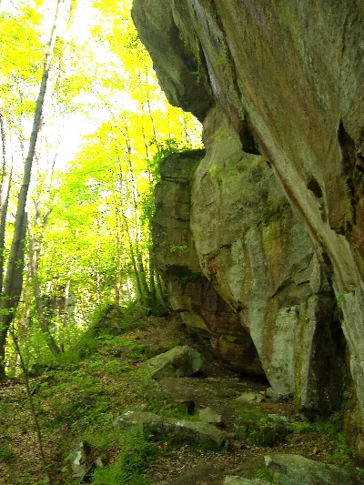 Minister Creek Trail