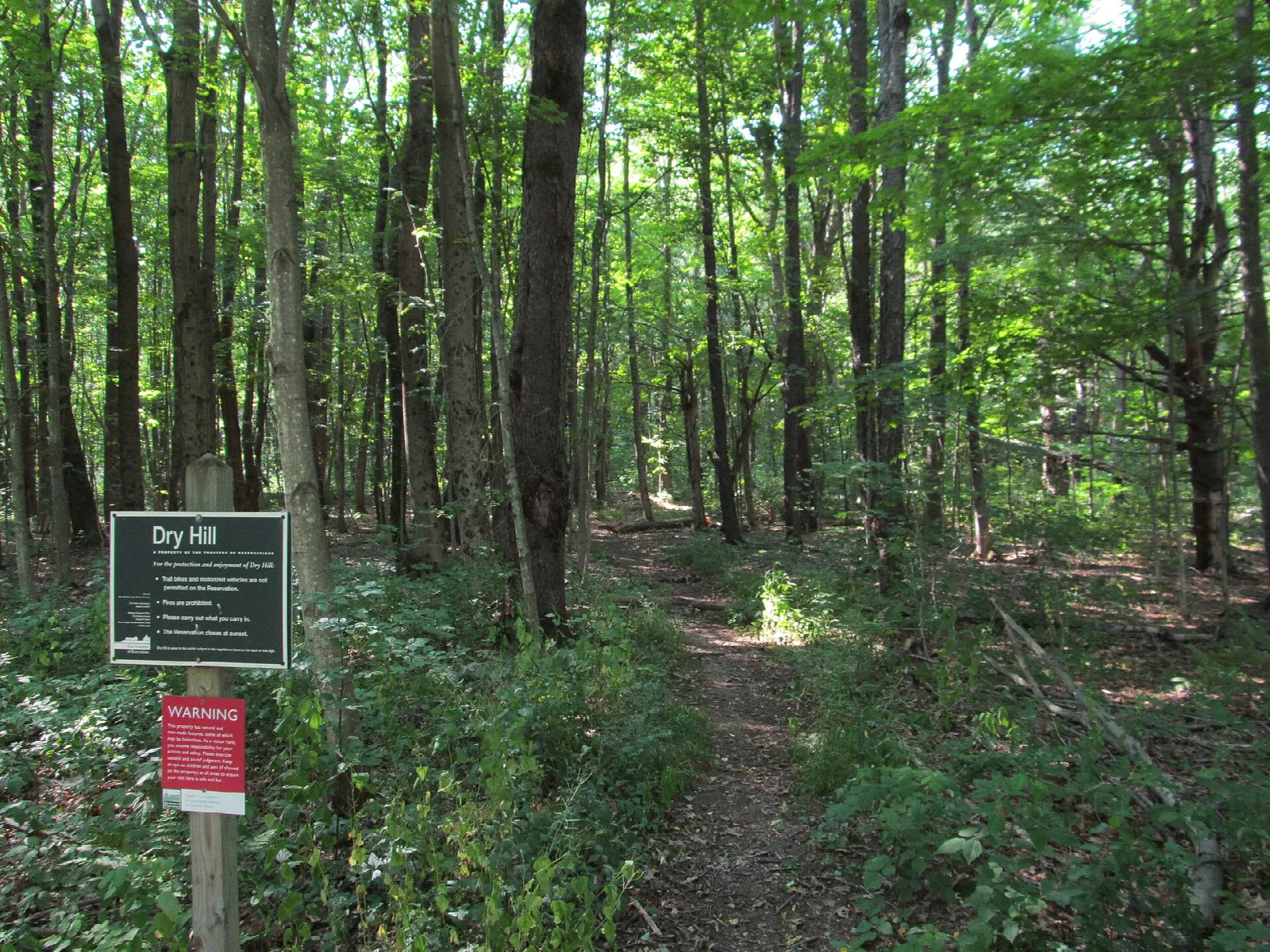 Dry Hill