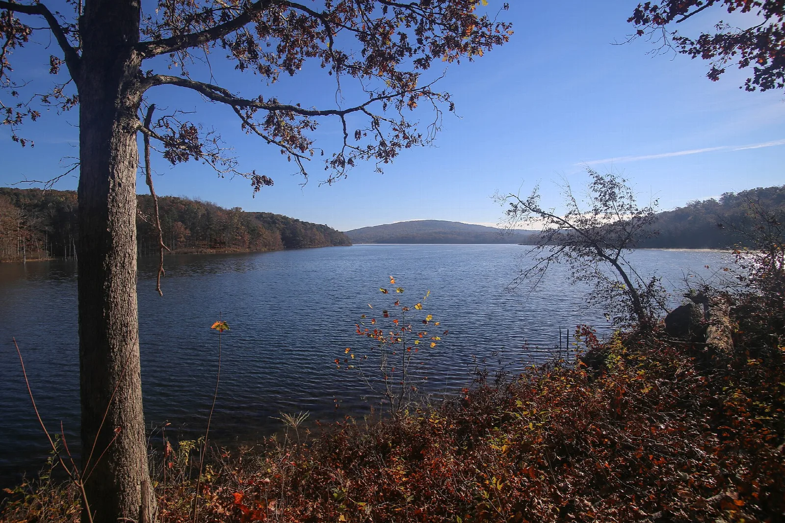 Council Bluff Trail