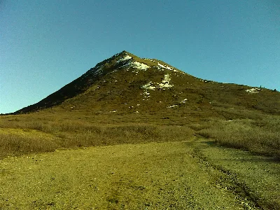 Donnelly Dome