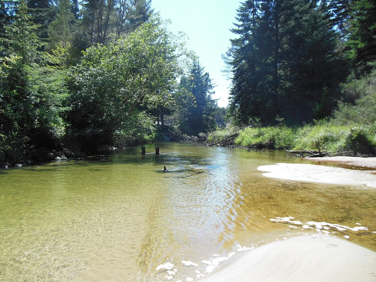 Siltcoos River