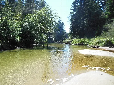 Siltcoos River