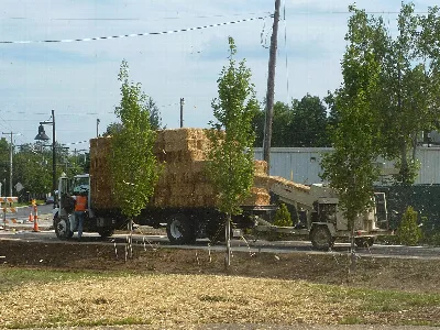 B-Line Trail