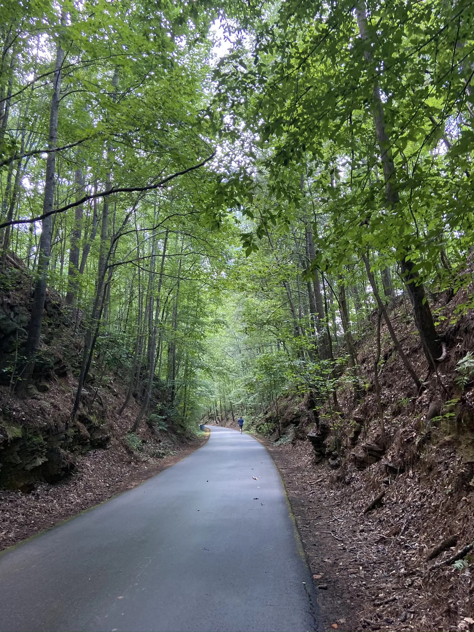 Silver Comet Trail