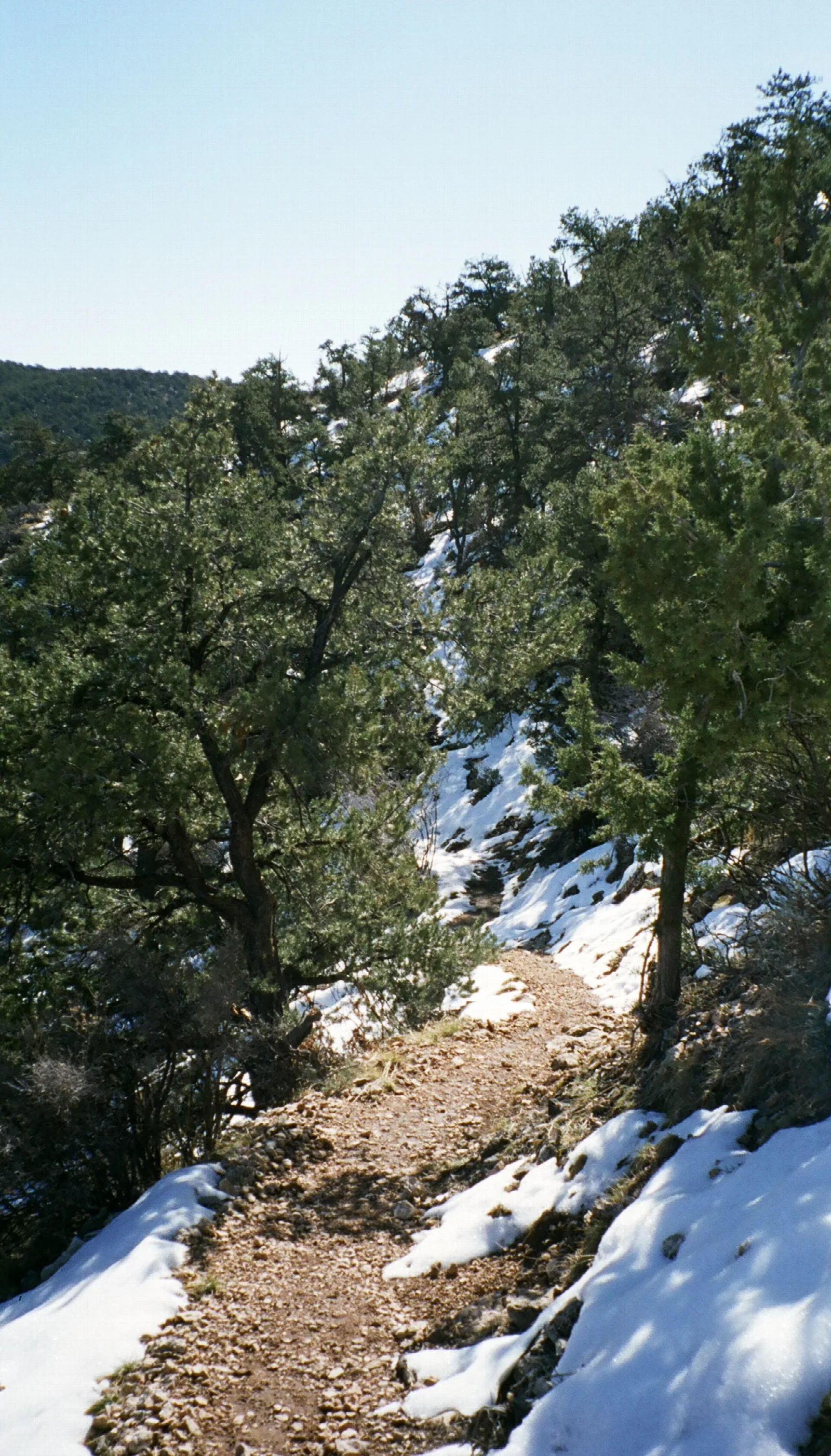 South Bass Trail
