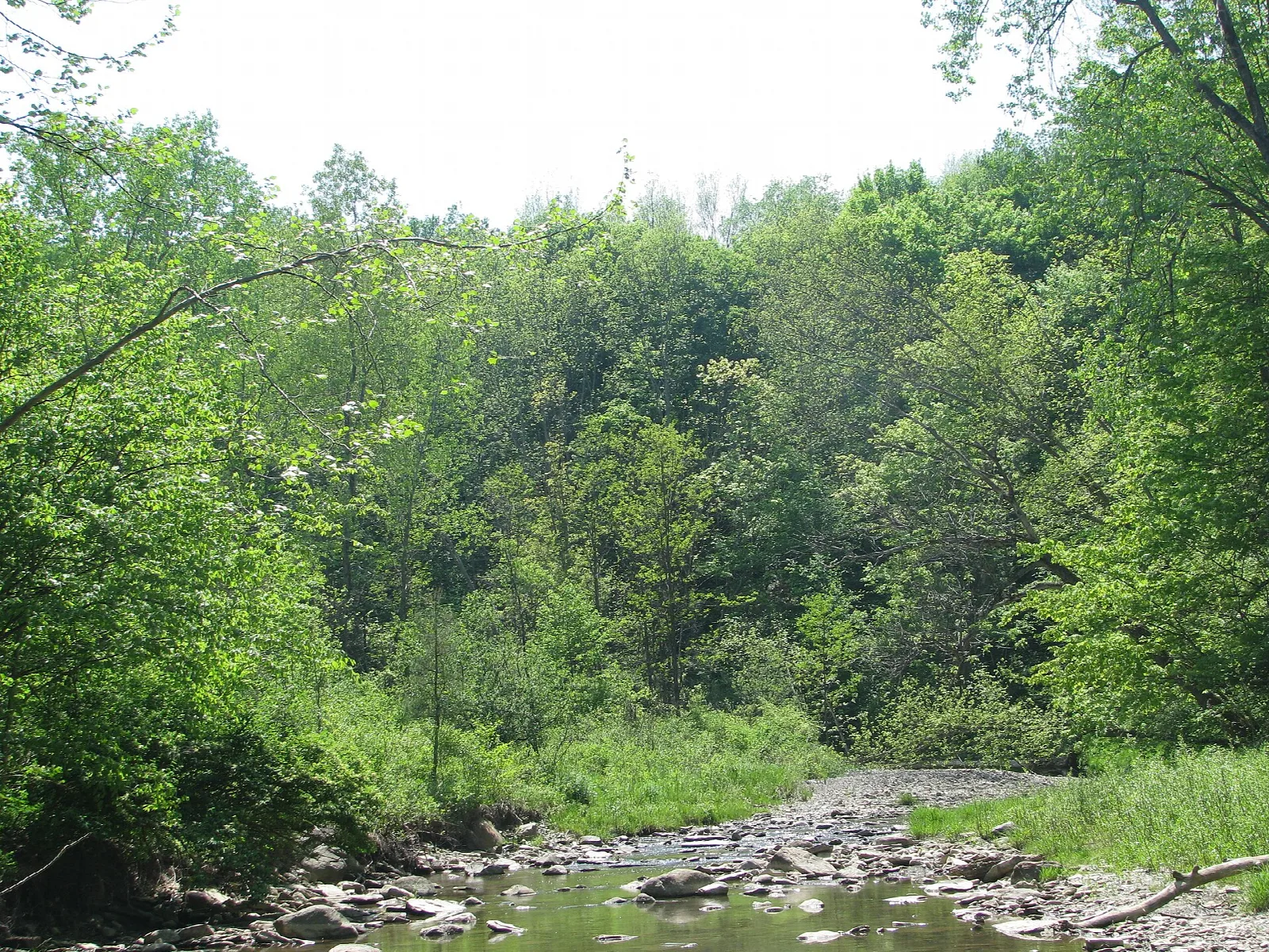 Hunter's Creek Park