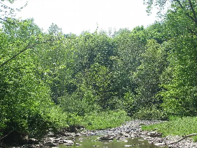 Hunter's Creek Park