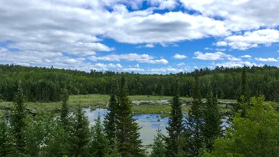Beaver Pond Overlook Trail