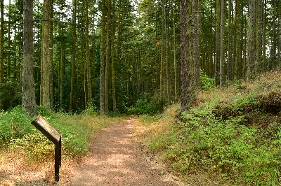 Jakles Lagoon