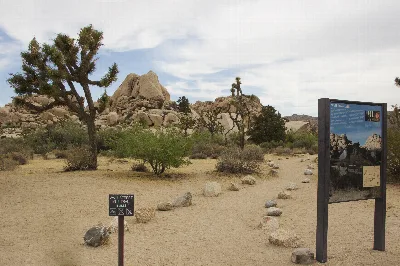 Wall Street Mill Trail