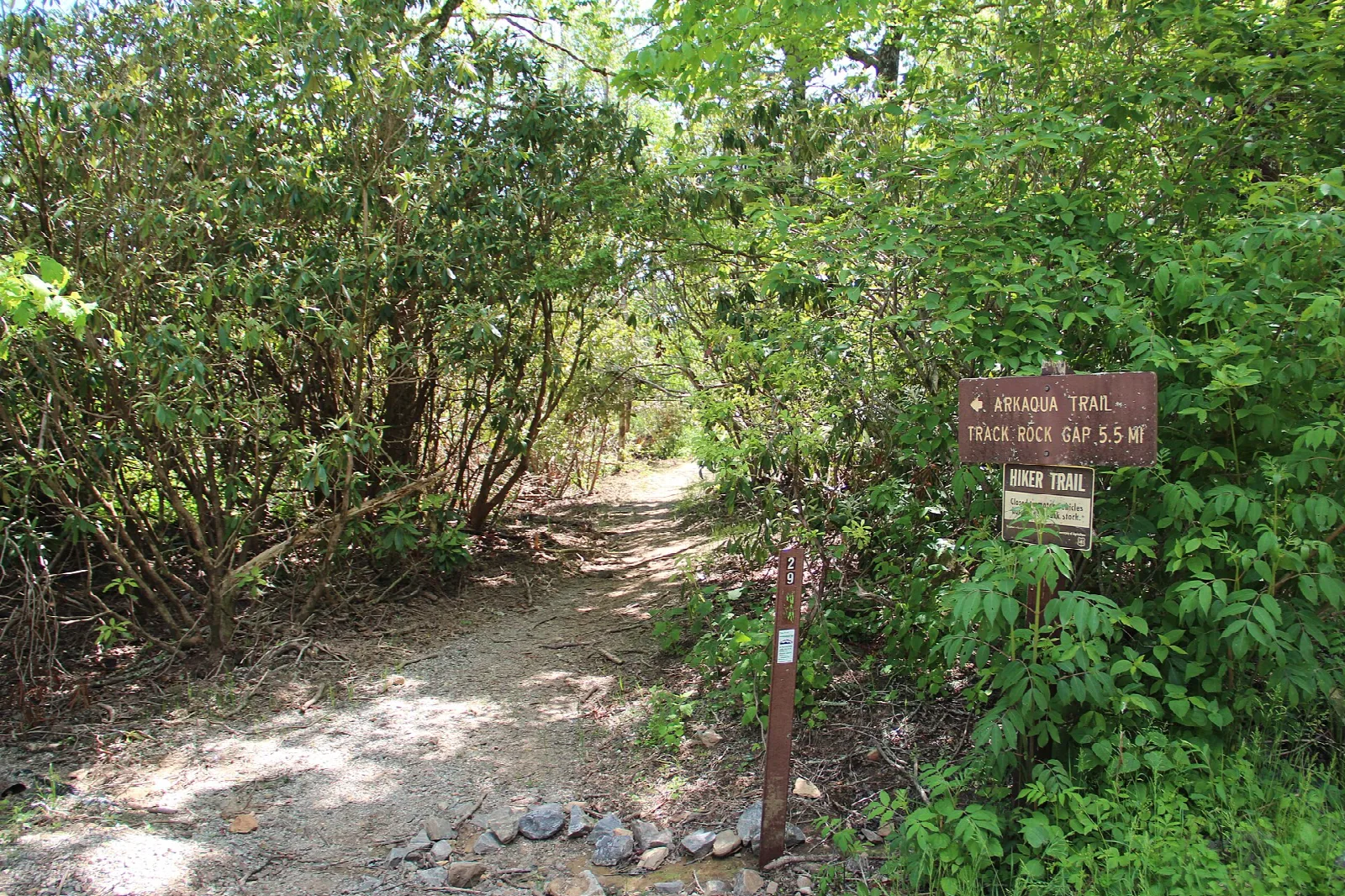 Arkaquah Trail