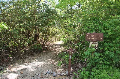 Arkaquah Trail