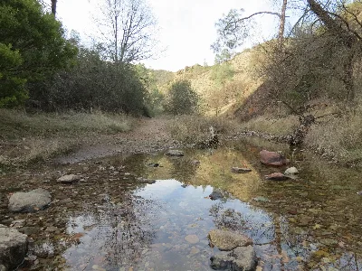 Old Pinnacles Trail to Balconies