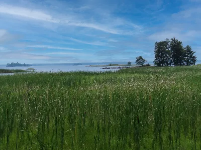 Oberholtzer Trail