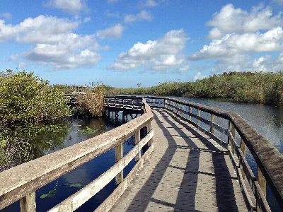 Anhinga Trail