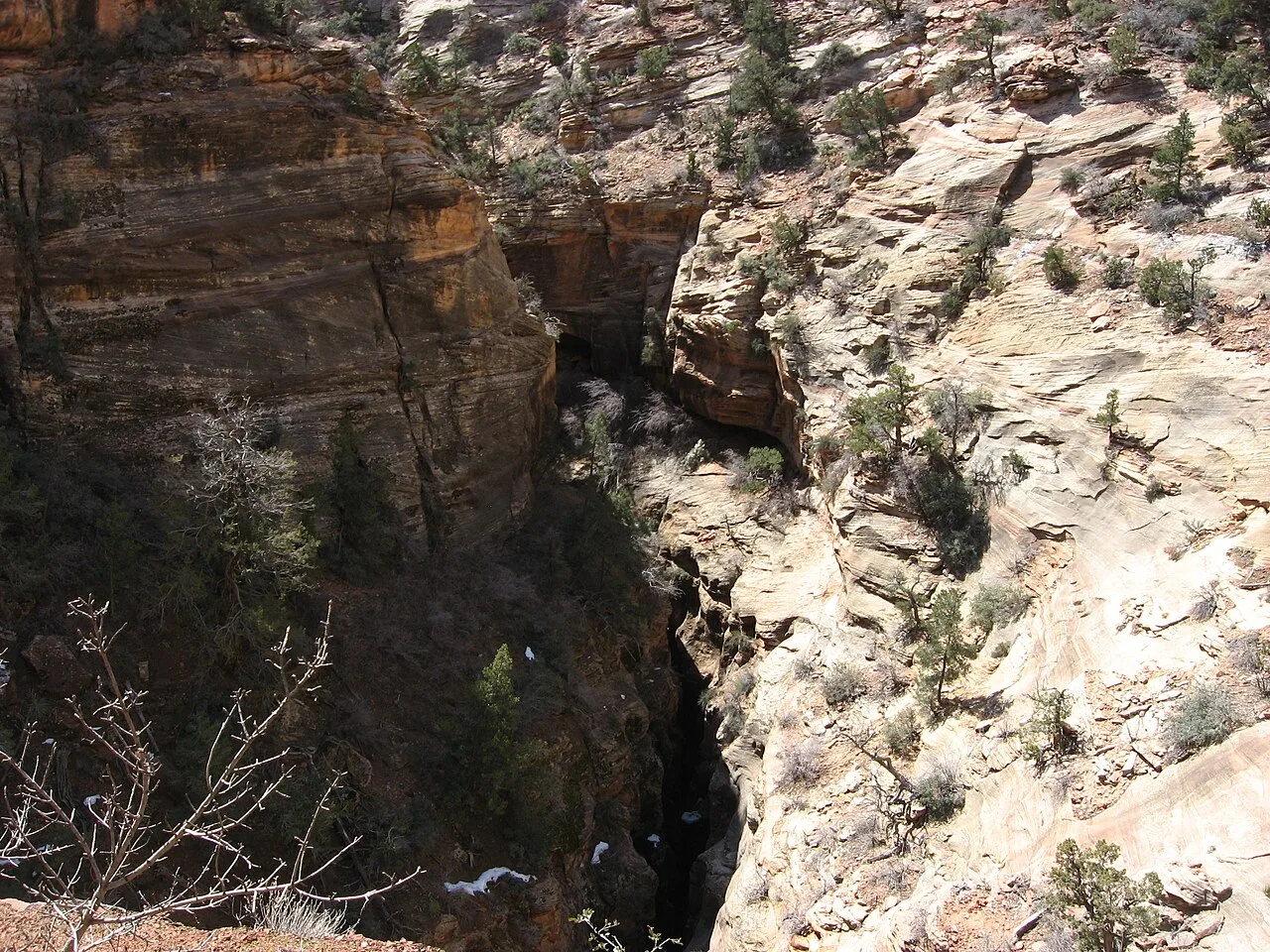 Canyon Overlook Trail — photo 5