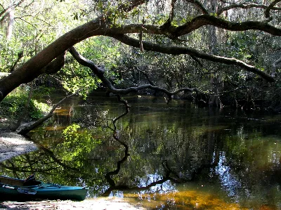 Alafia River