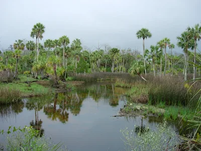 Lower Suwannee National Wildlife Refuge