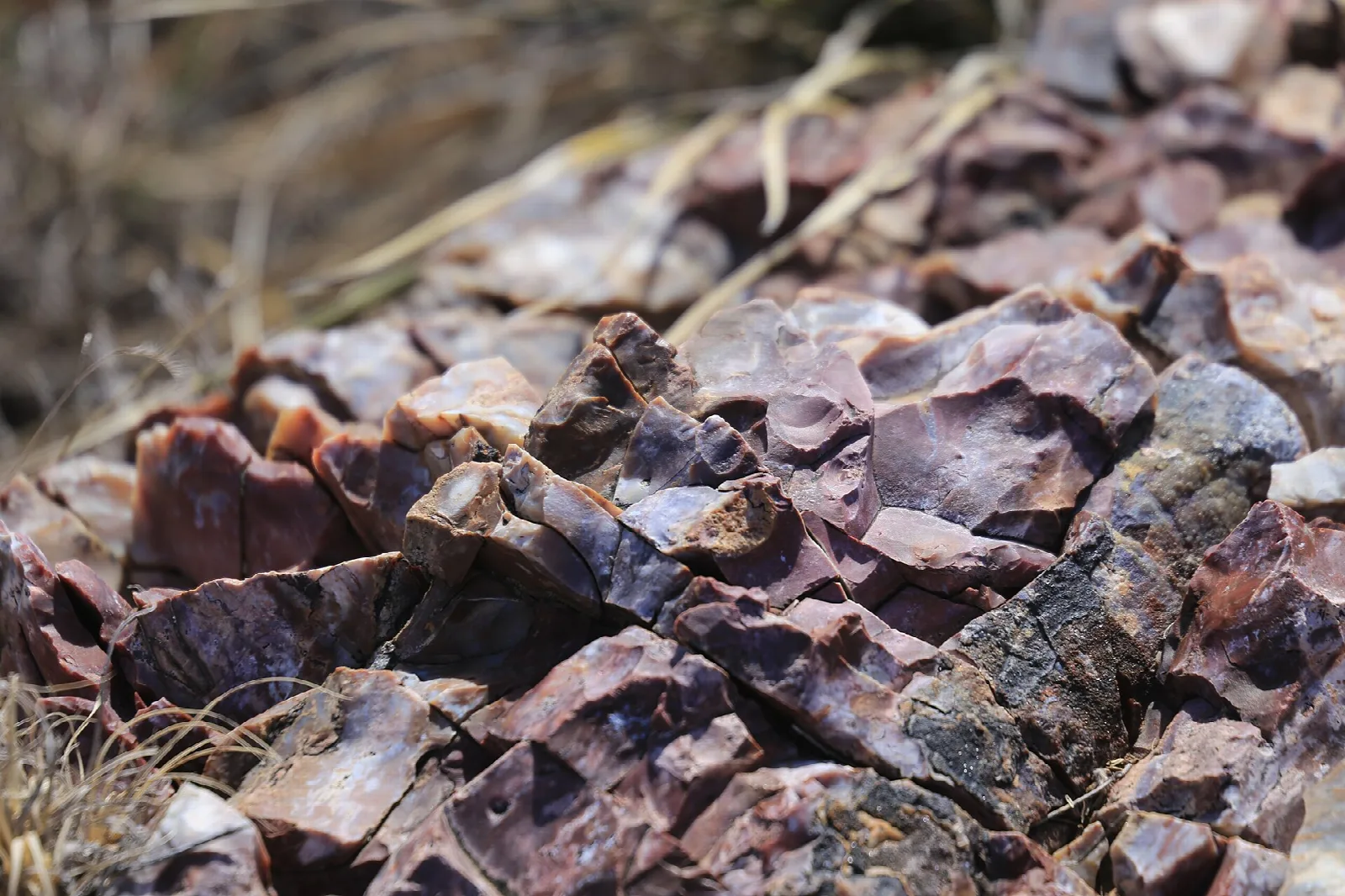 Alibates Flint Quarries National Monument