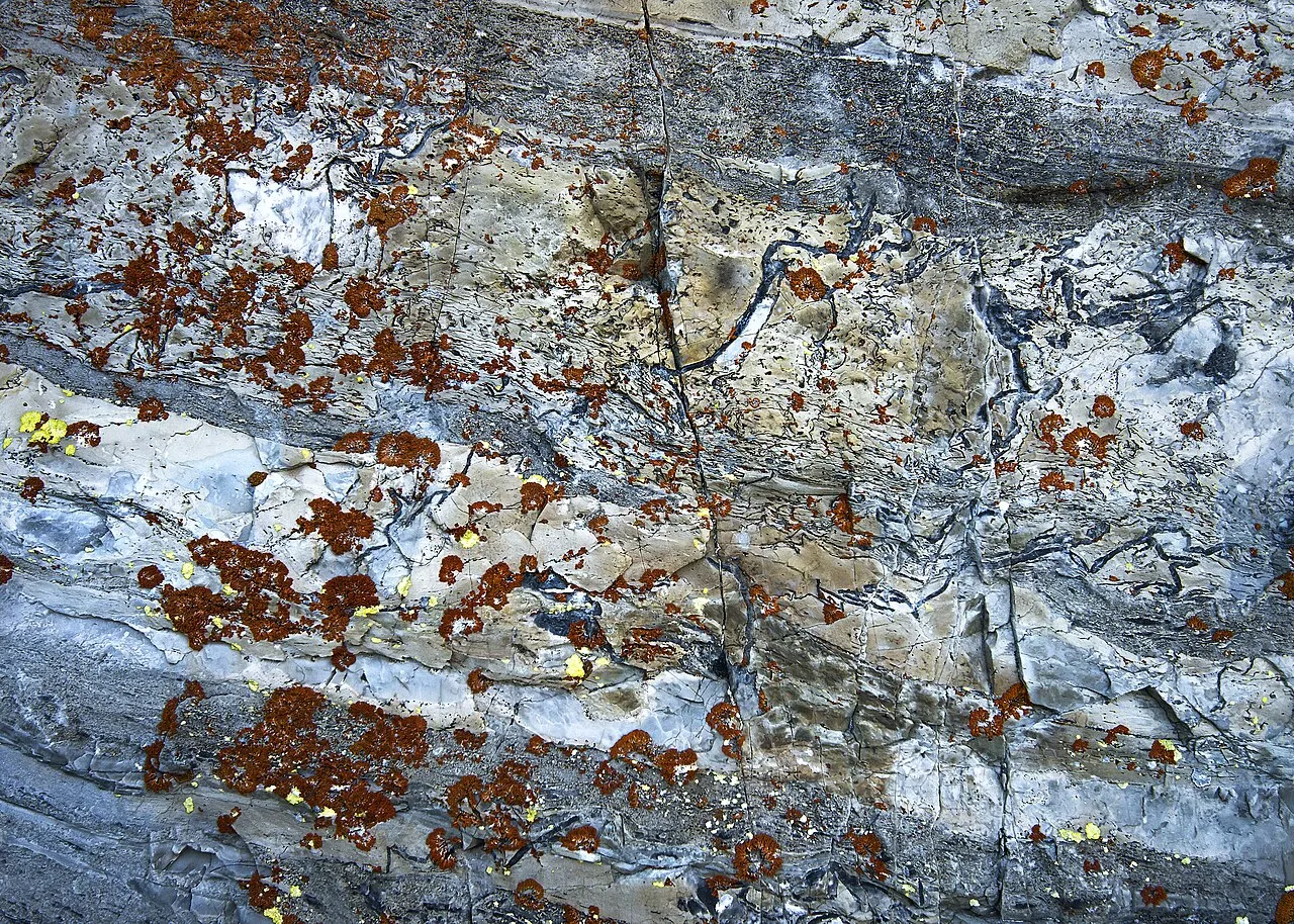 Highline Trail — photo 4