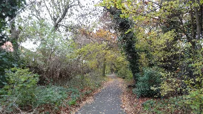 Woodland Walk