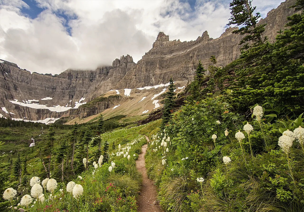 Iceberg Lake Trail — photo 5