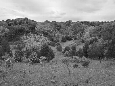 Buzzardroost Rock Trail