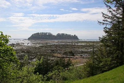Cape Alava Trail
