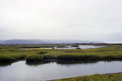 Tijuana Estuary