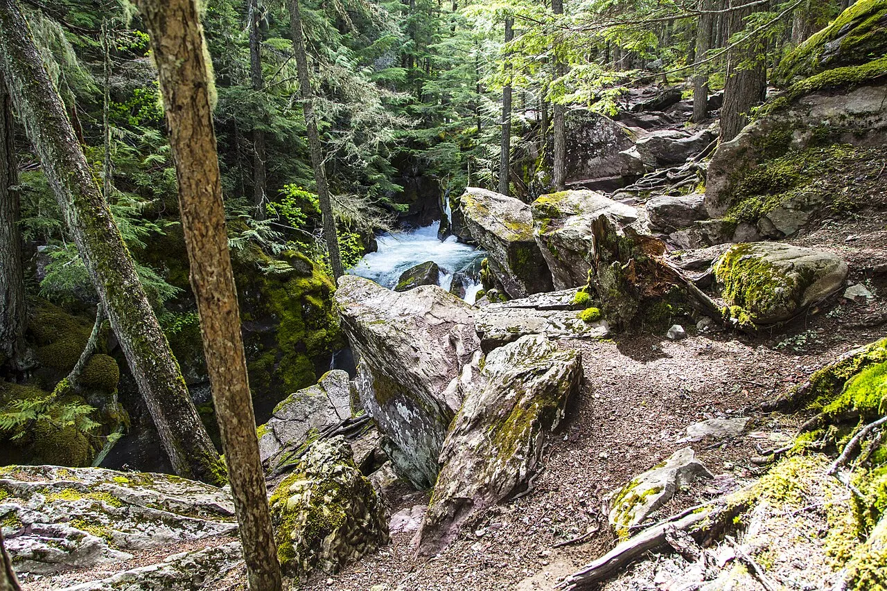 Avalanche Lake Trail — photo 4