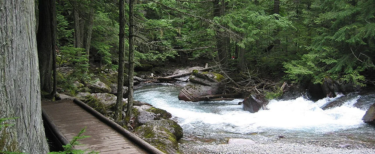 Avalanche Lake Trail — photo 3
