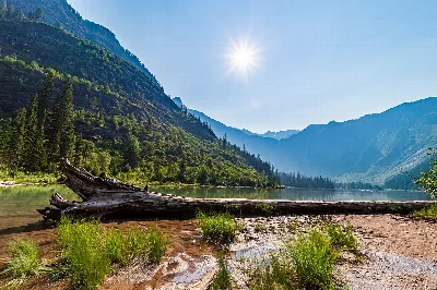Avalanche Lake Trail