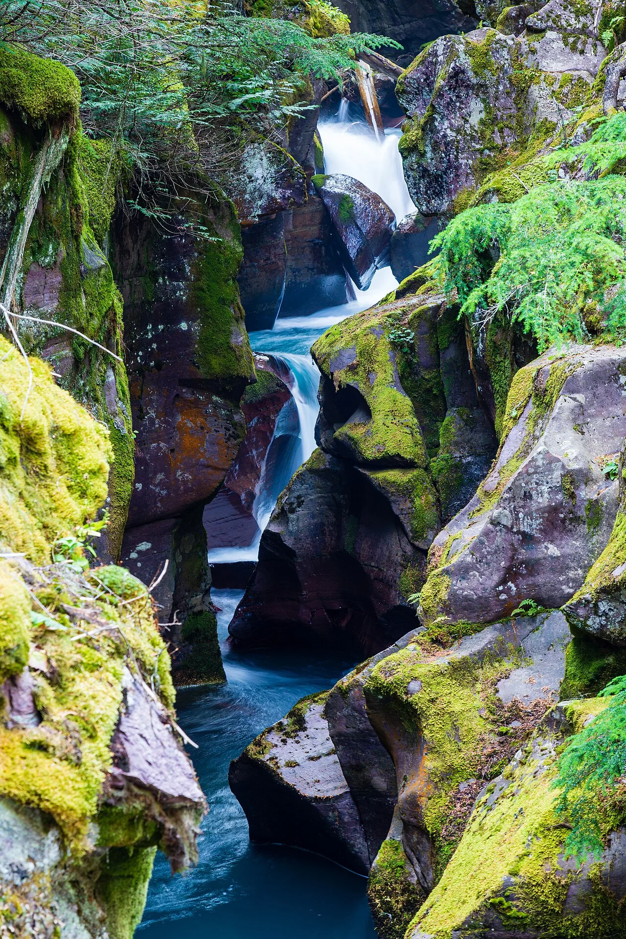 Avalanche Lake Trail — photo 5