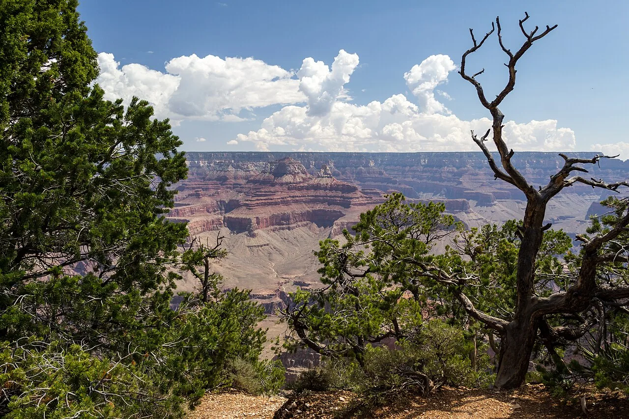 Rim Trail (South Rim) — photo 4