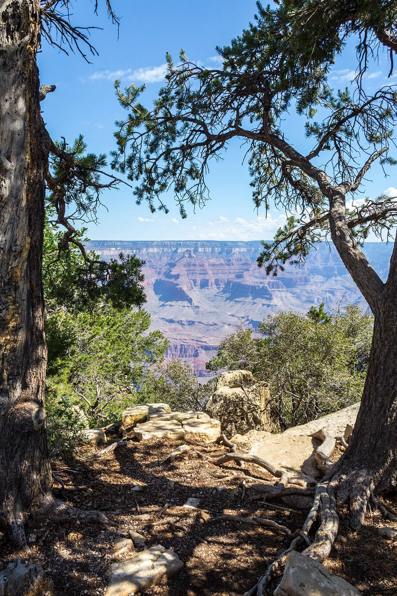 Rim Trail (South Rim) — photo 5