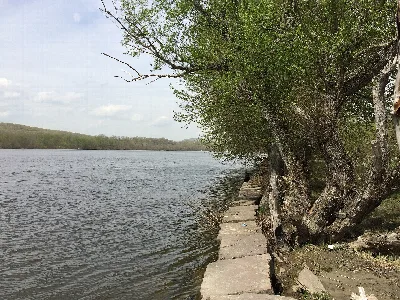 Hurd State Park