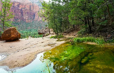 Middle Emerald Pools Trail