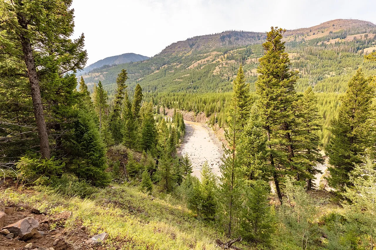 Lamar Valley Trail — photo 3