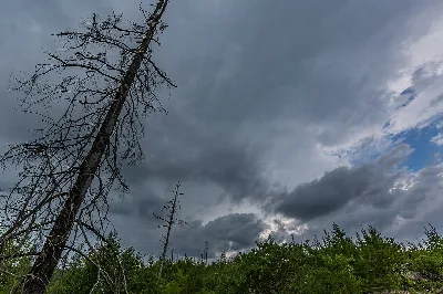Border Route Trail