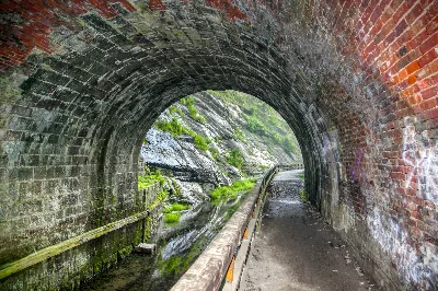 Paw Paw Tunnel Trail