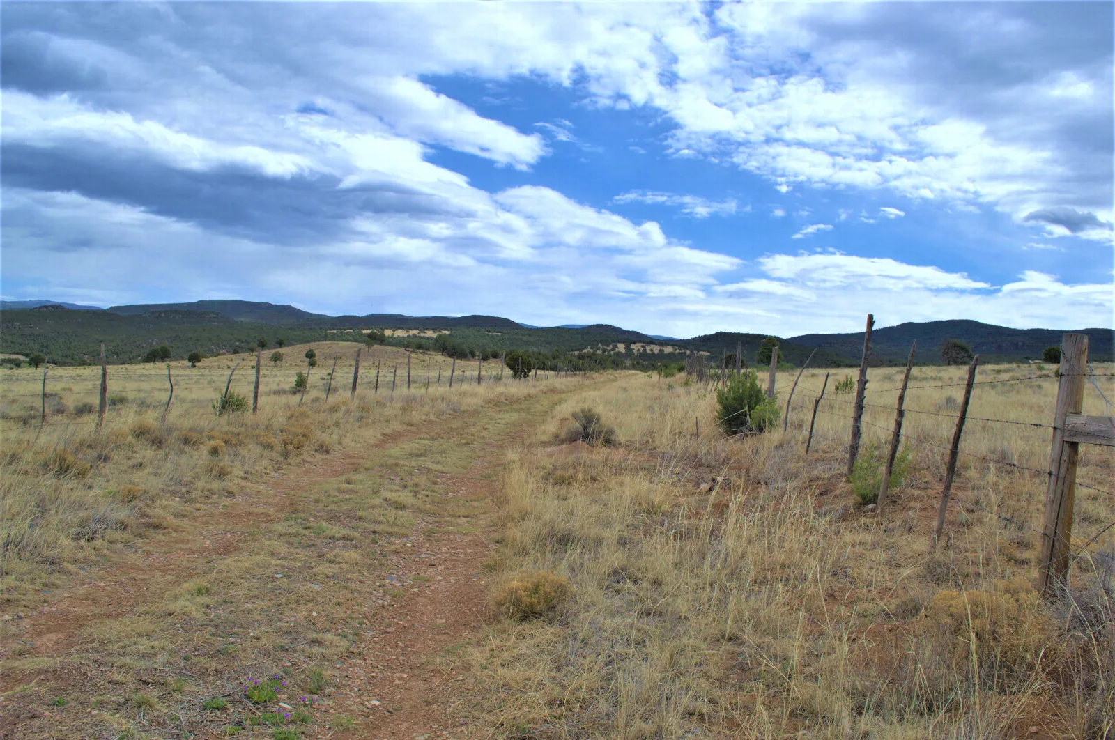 Dirt Road, Blue Sky, Mountains, Grass, Fence Posts
