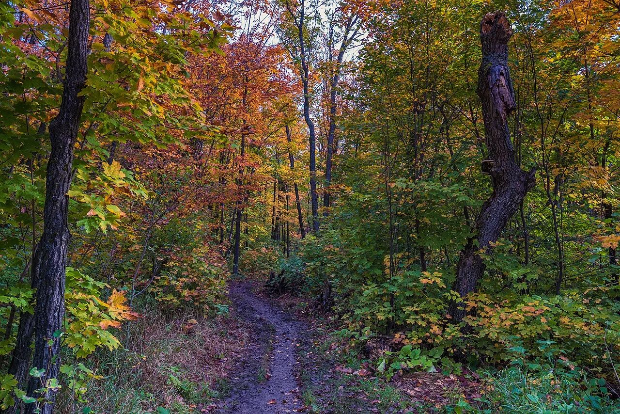 Oberg Mountain Loop — photo 1