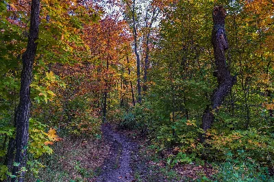 Oberg Mountain Loop