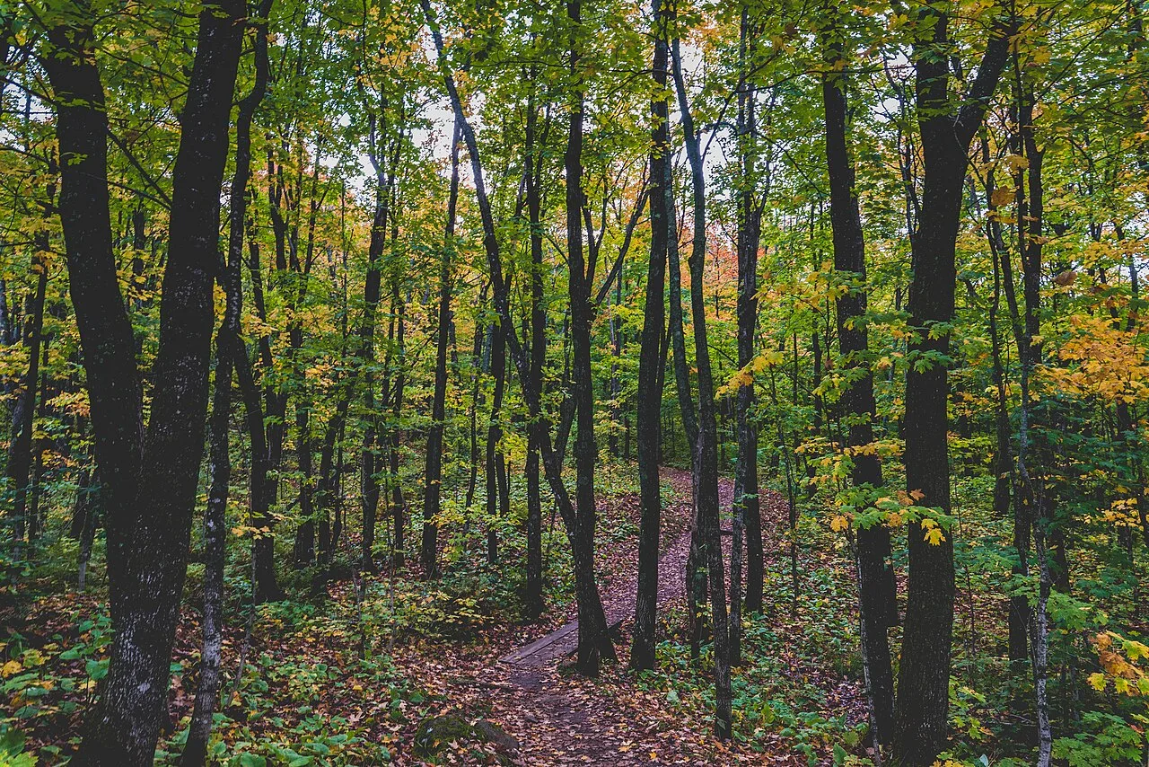 Oberg Mountain Loop — photo 3