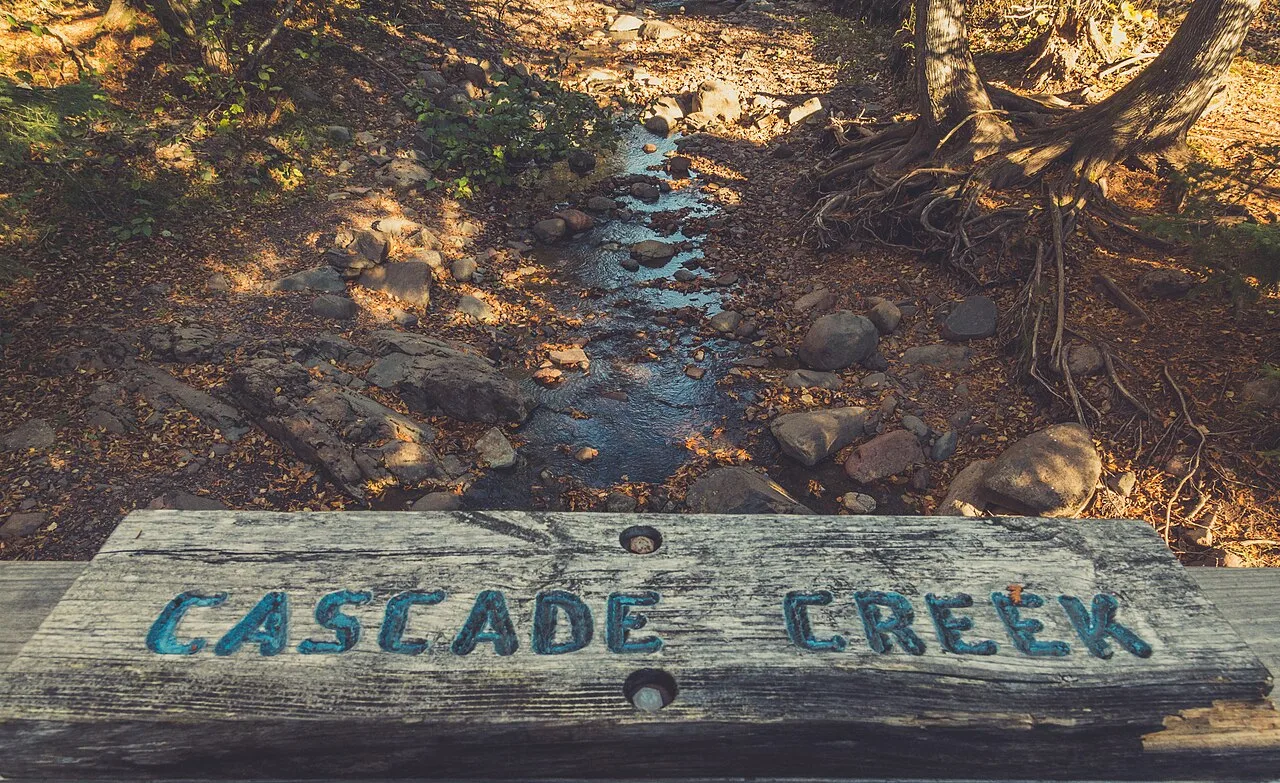 Superior Hiking Trail - Cascade River — photo 5