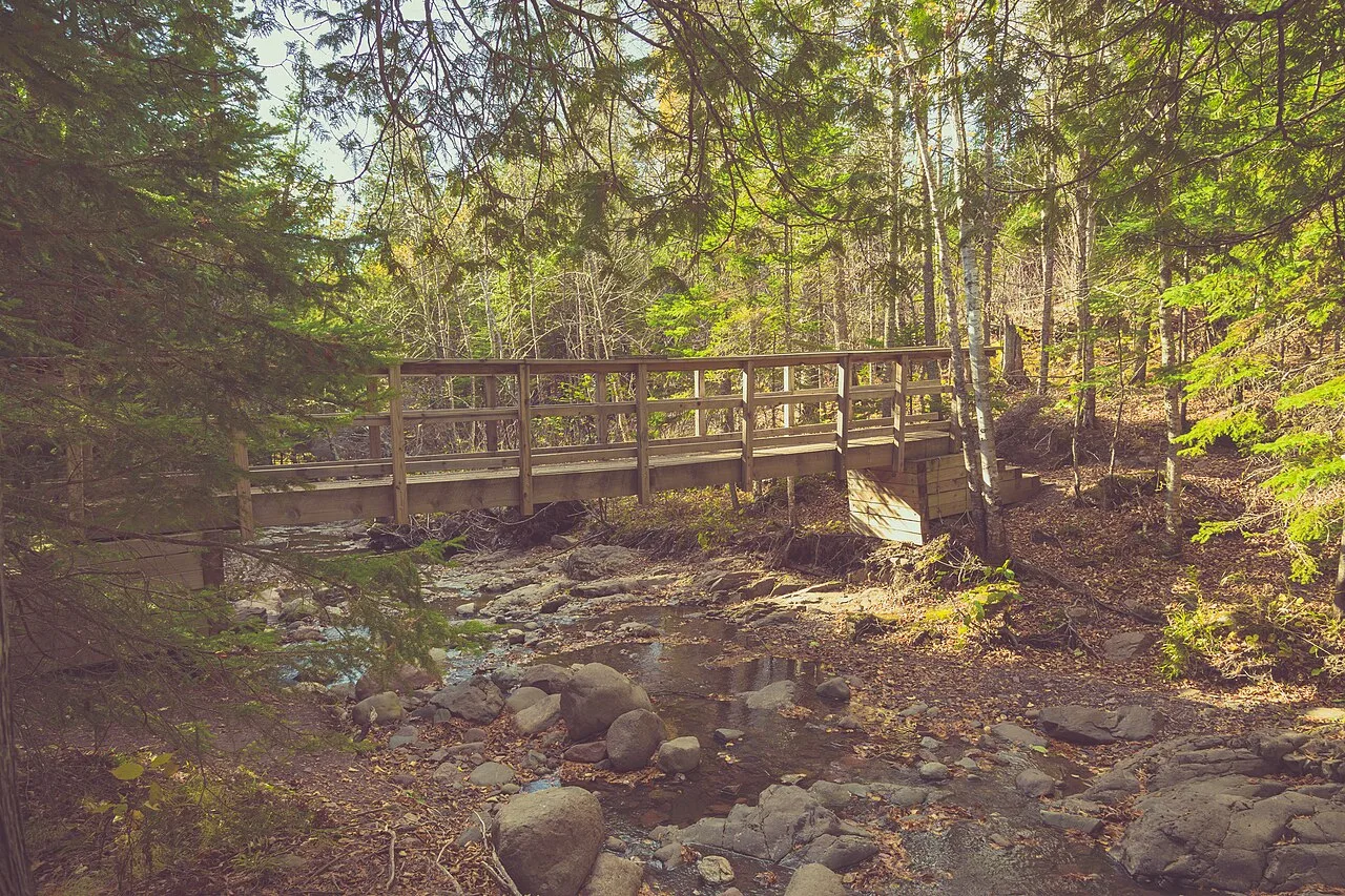 Superior Hiking Trail - Cascade River — photo 1
