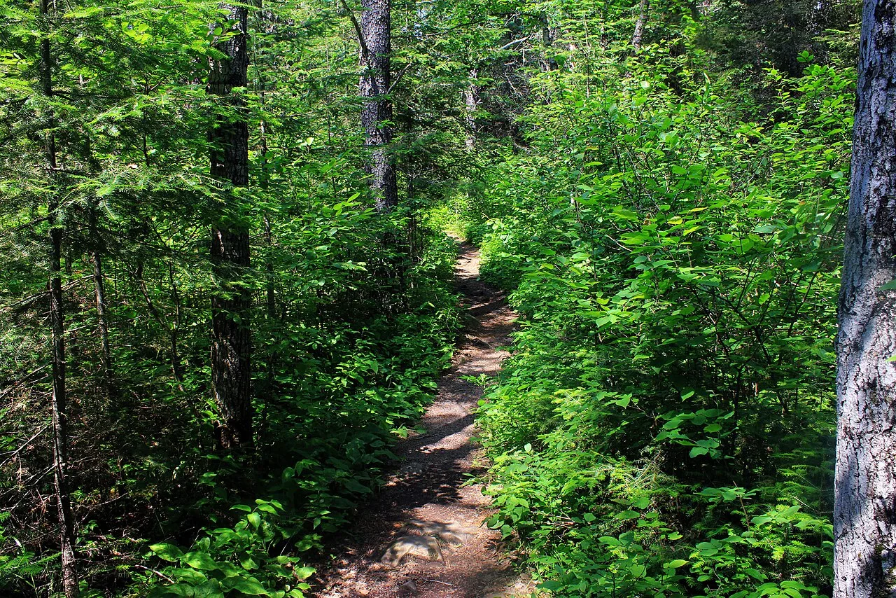 Eagle Mountain Trail — photo 1