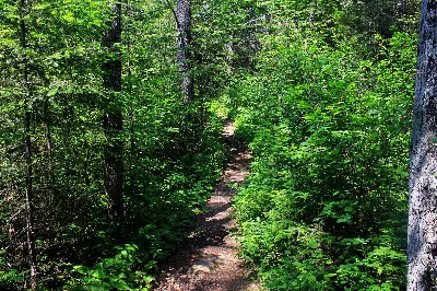 Eagle Mountain Trail